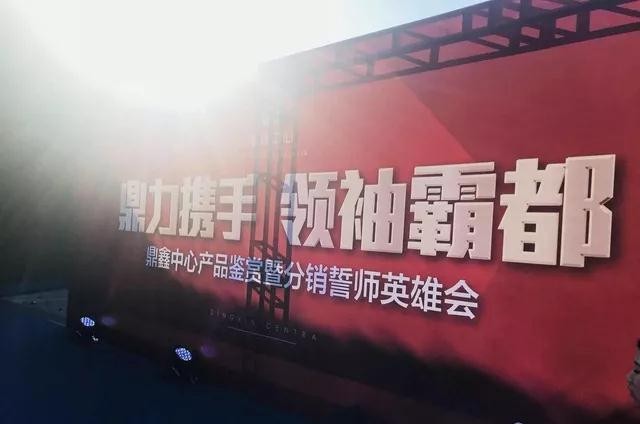 鼎力攜手，領(lǐng)袖霸都！合肥鼎鑫中心產(chǎn)品鑒賞暨分銷誓師英雄會(huì)圓滿落幕！