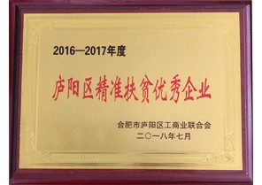 安徽鼎鑫投資集團(tuán)榮獲2016-2017年度廬陽(yáng)區(qū)精準(zhǔn)扶貧優(yōu)秀企業(yè)稱(chēng)號(hào)
