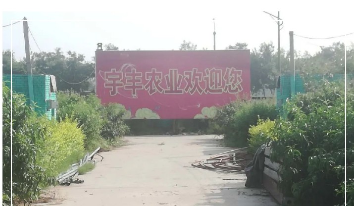 建一個市場、興一方產(chǎn)業(yè)、富一方百姓，孝義農(nóng)產(chǎn)品大市場產(chǎn)供銷一體化在行動！