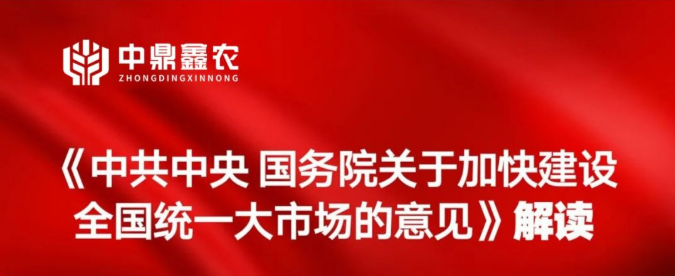 《中共中央 國(guó)務(wù)院關(guān)于加快建設(shè)全國(guó)統(tǒng)一大市場(chǎng)的意見》解讀