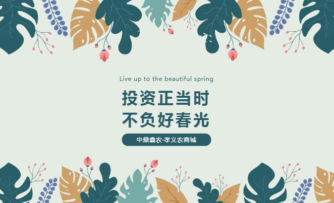 孝義唯一大產(chǎn)權(quán)的農(nóng)批商鋪，投資有保障！